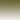 Light Olive/White