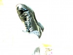 Shoe