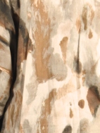 Danuta Jacket by Bryn Walker