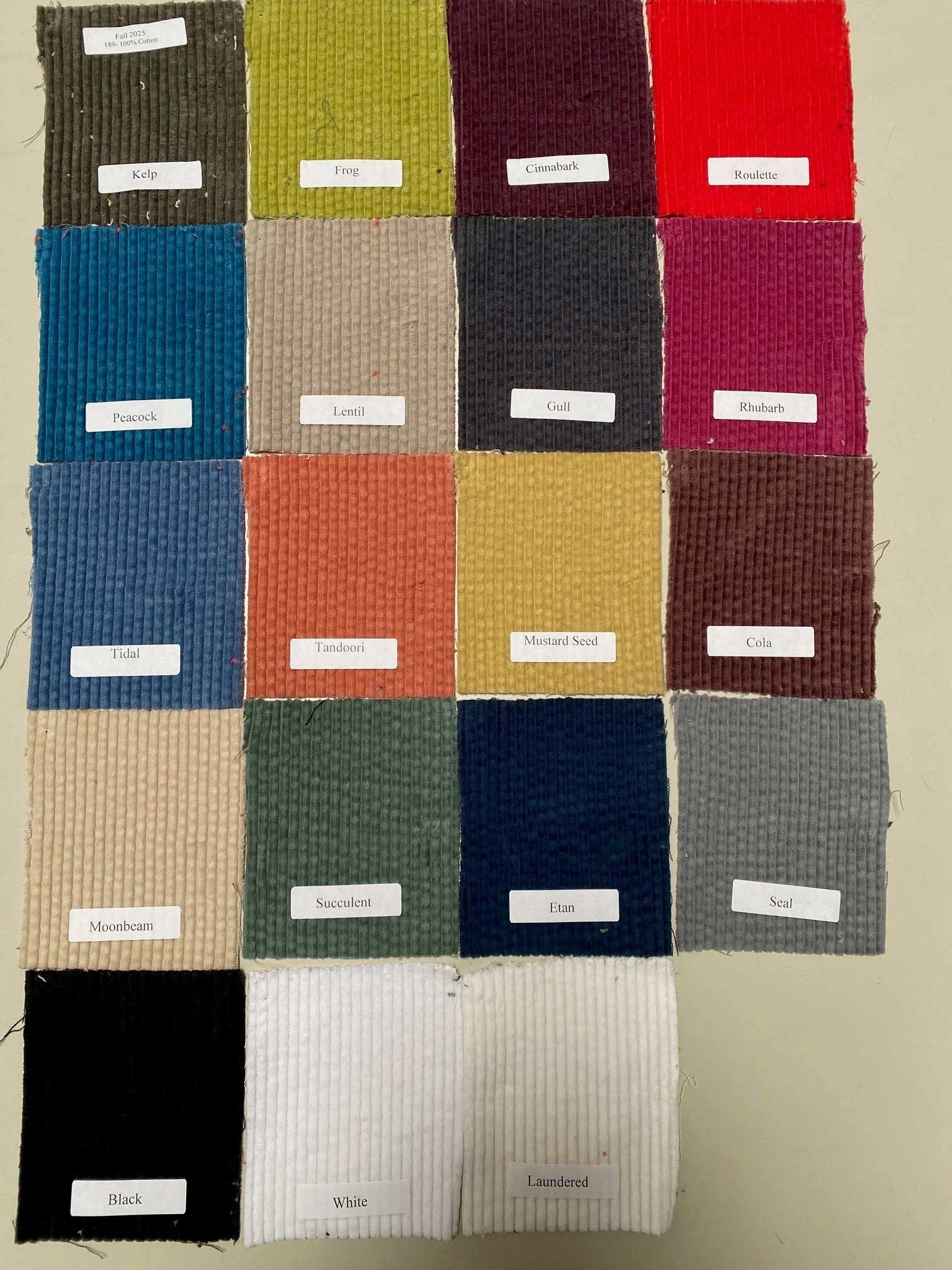 Aline Shirt in Colors