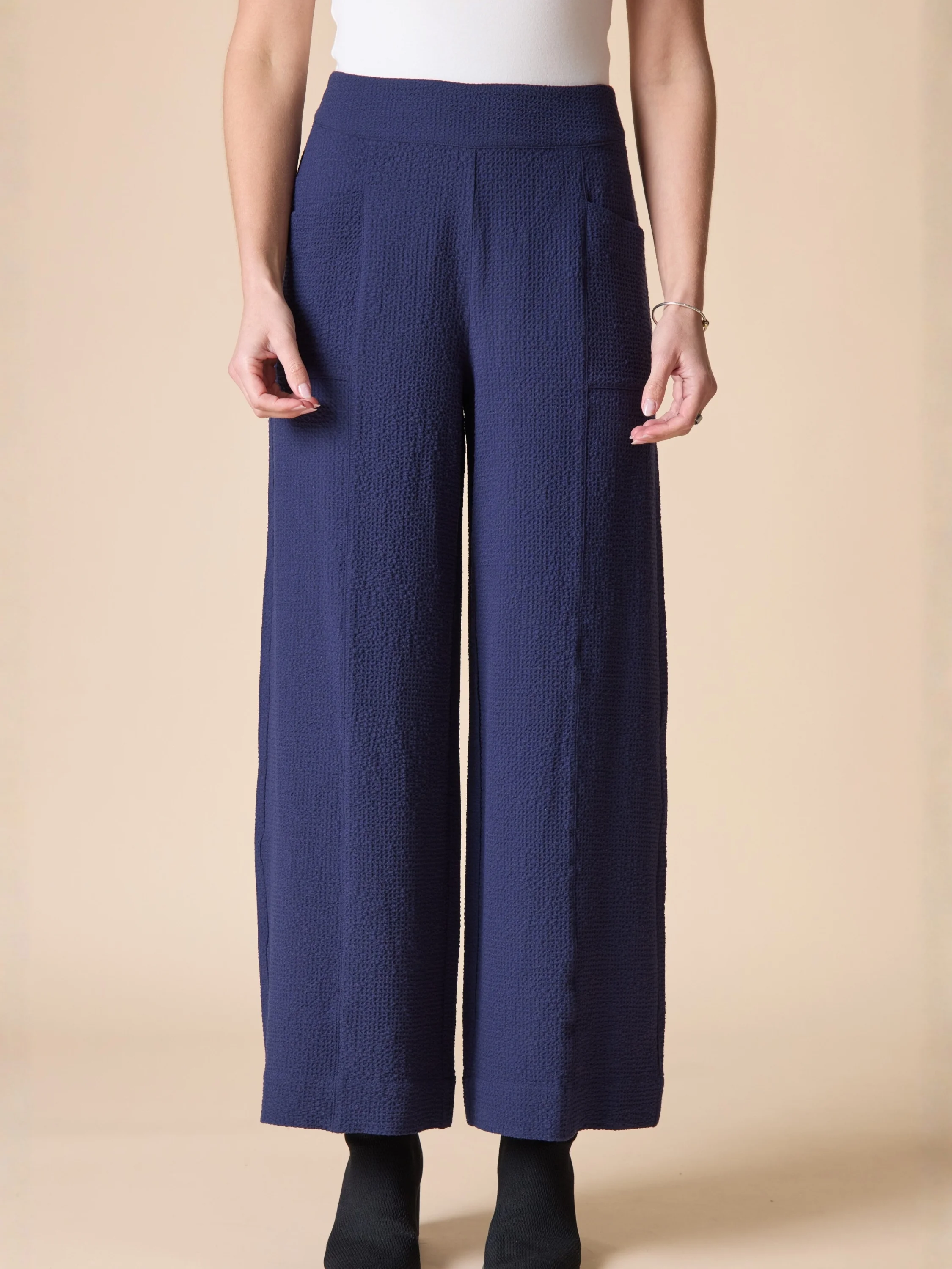 Crepe Solid Aria Pant in Navy